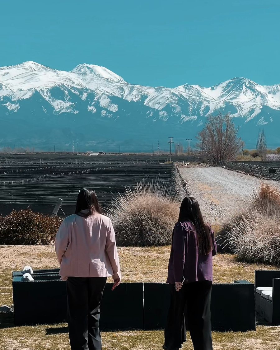 Caminata junto al viñedo con los Andes al fondo